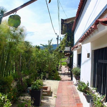 Casa De Hospedaje Vivaio パイパ エクステリア 写真