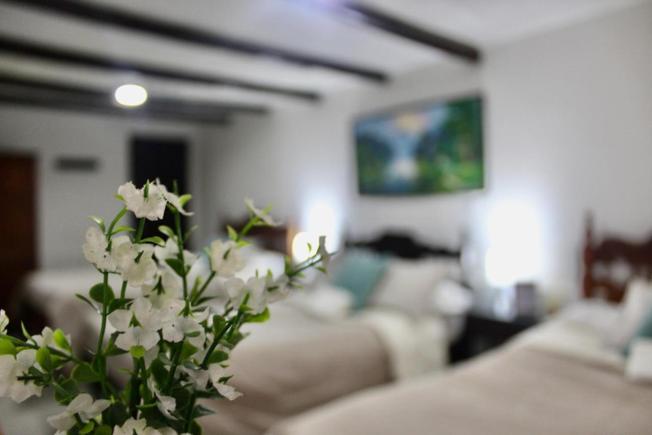 Casa De Hospedaje Vivaio パイパ エクステリア 写真
