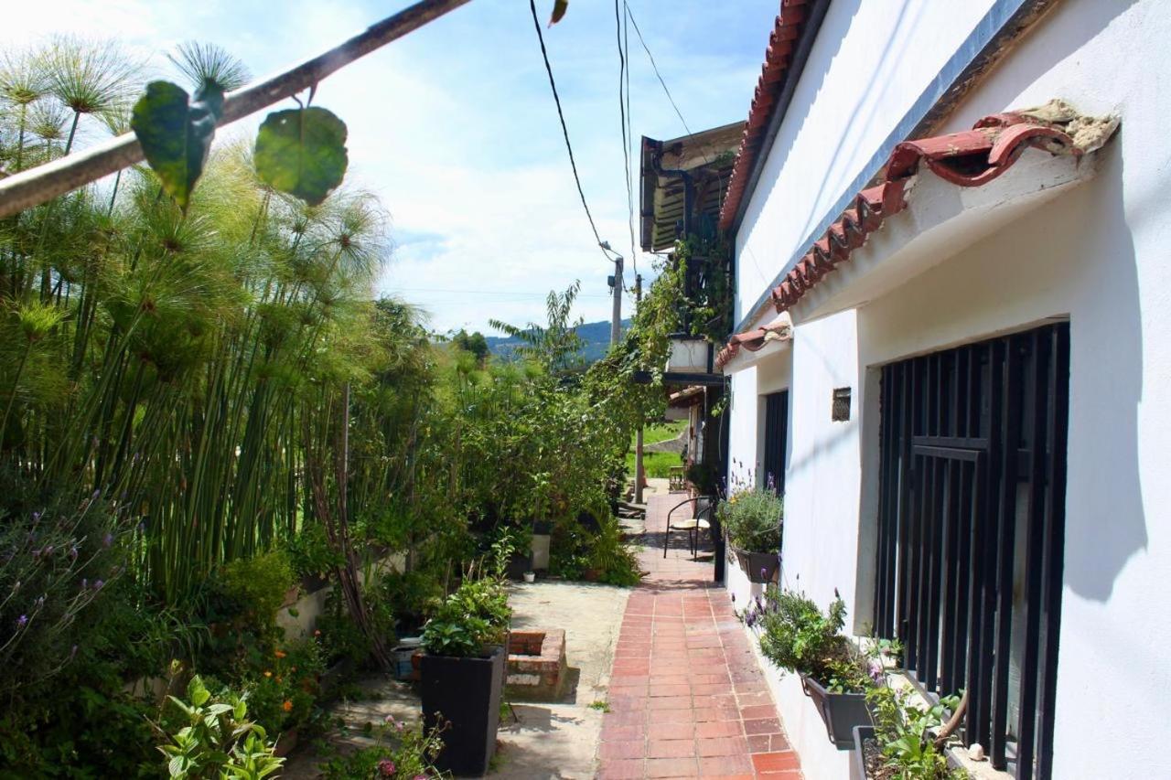Casa De Hospedaje Vivaio パイパ エクステリア 写真